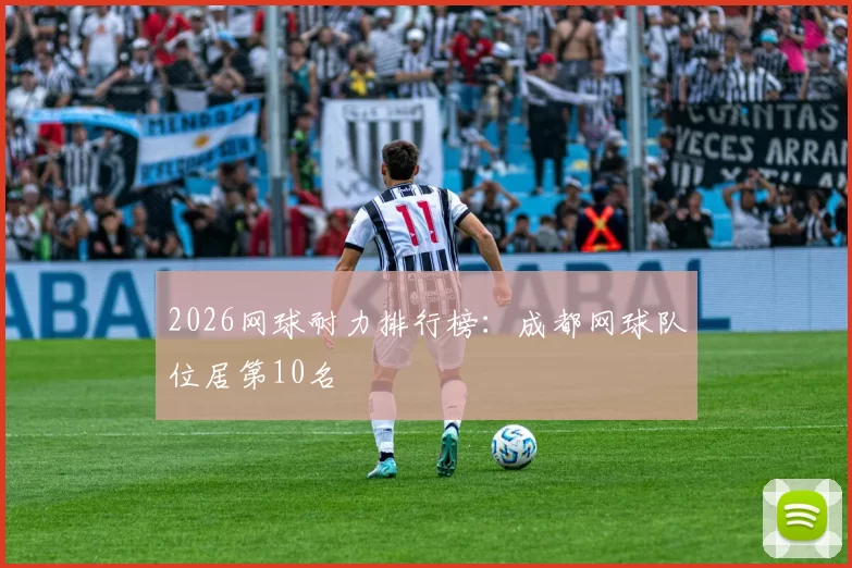 2026网球耐力排行榜：成都网球队位居第10名