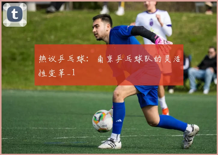 热议乒乓球：南京乒乓球队的灵活性变革_1