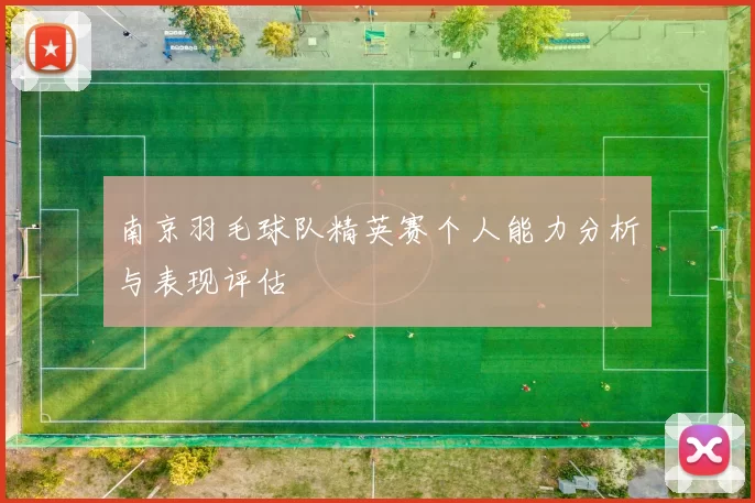 南京羽毛球队精英赛个人能力分析与表现评估