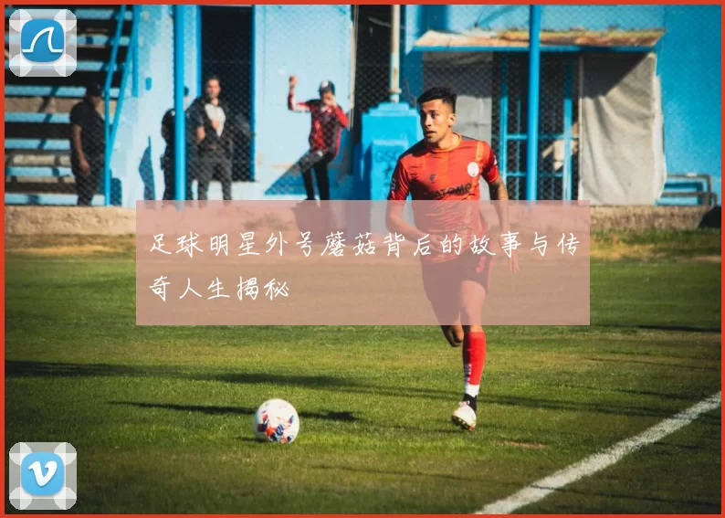足球明星外号蘑菇背后的故事与传奇人生揭秘