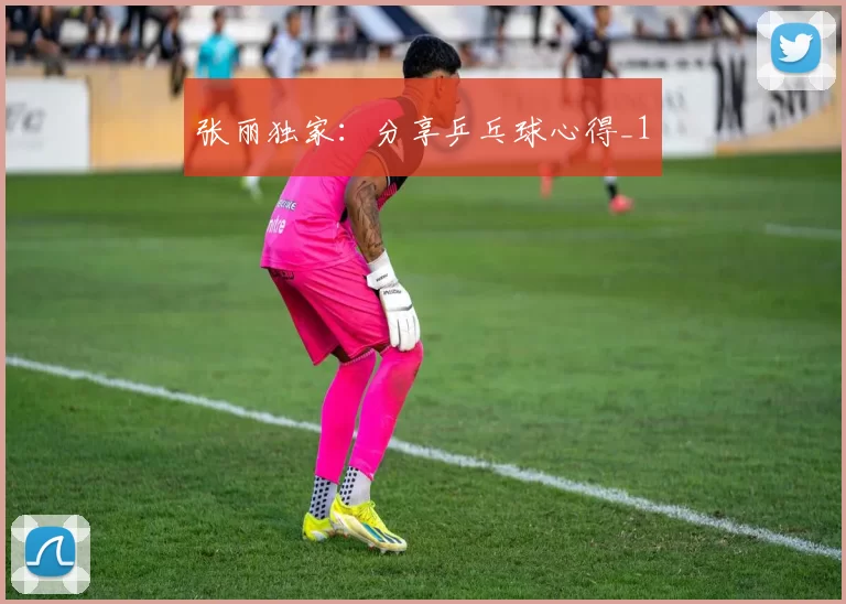 张丽独家：分享乒乓球心得_1