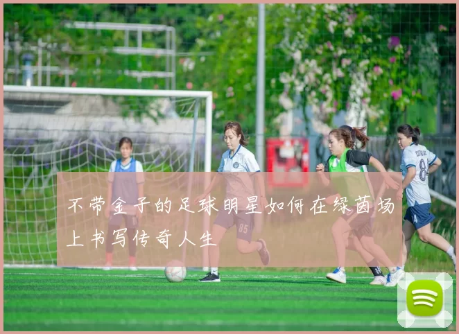 不带金子的足球明星如何在绿茵场上书写传奇人生