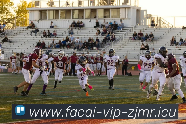 星空体育平台生态图